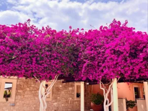 Our Trip to Beautiful Cyprus!