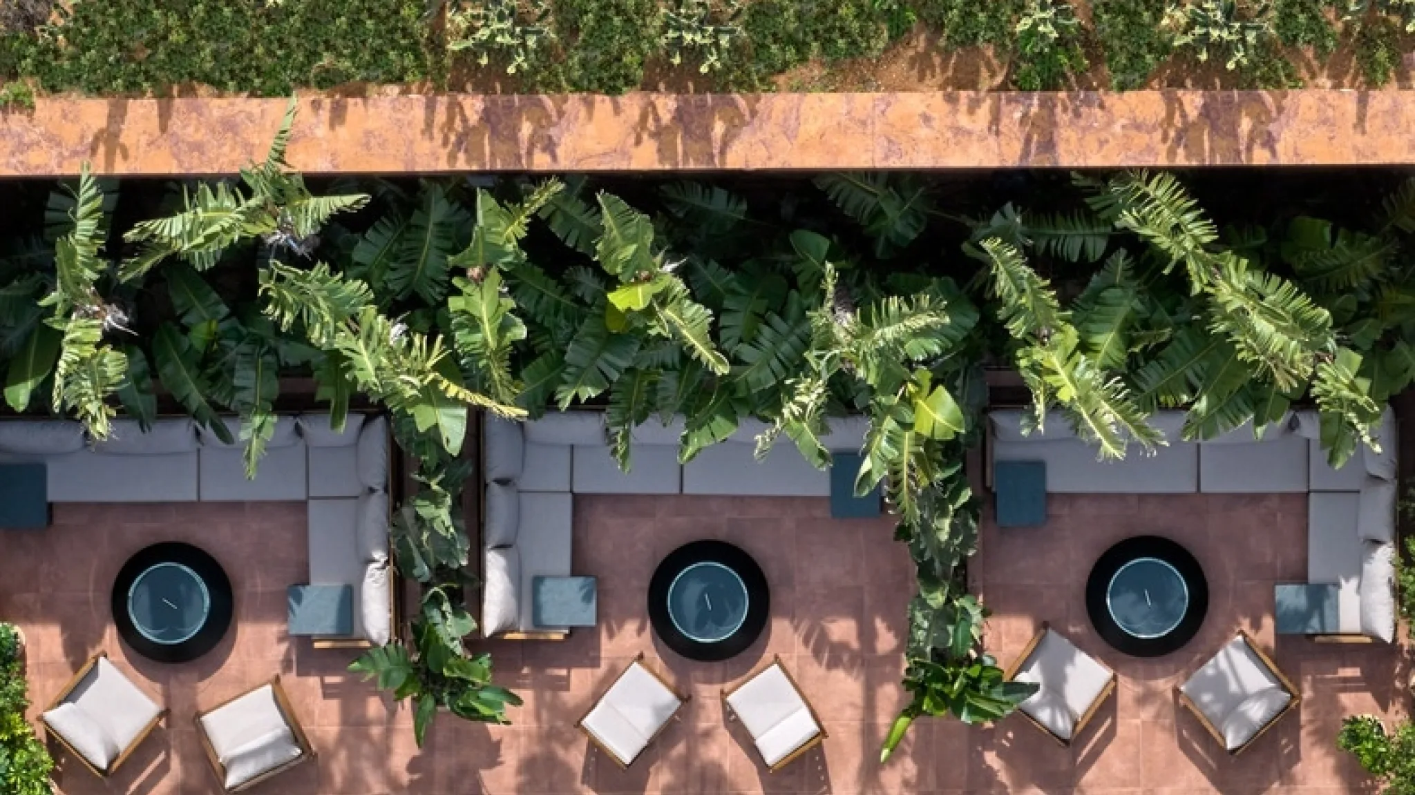 DC Banana Garden Overview Aerial 01