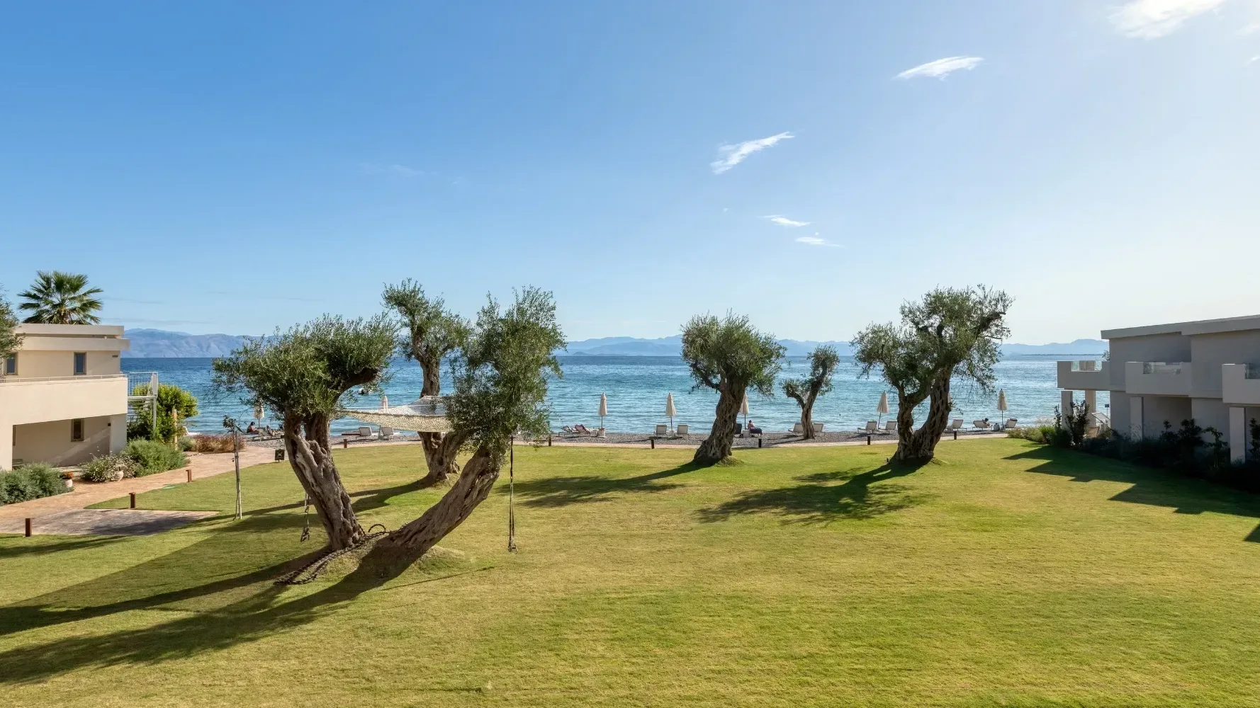Natural Environment and Olive Trees