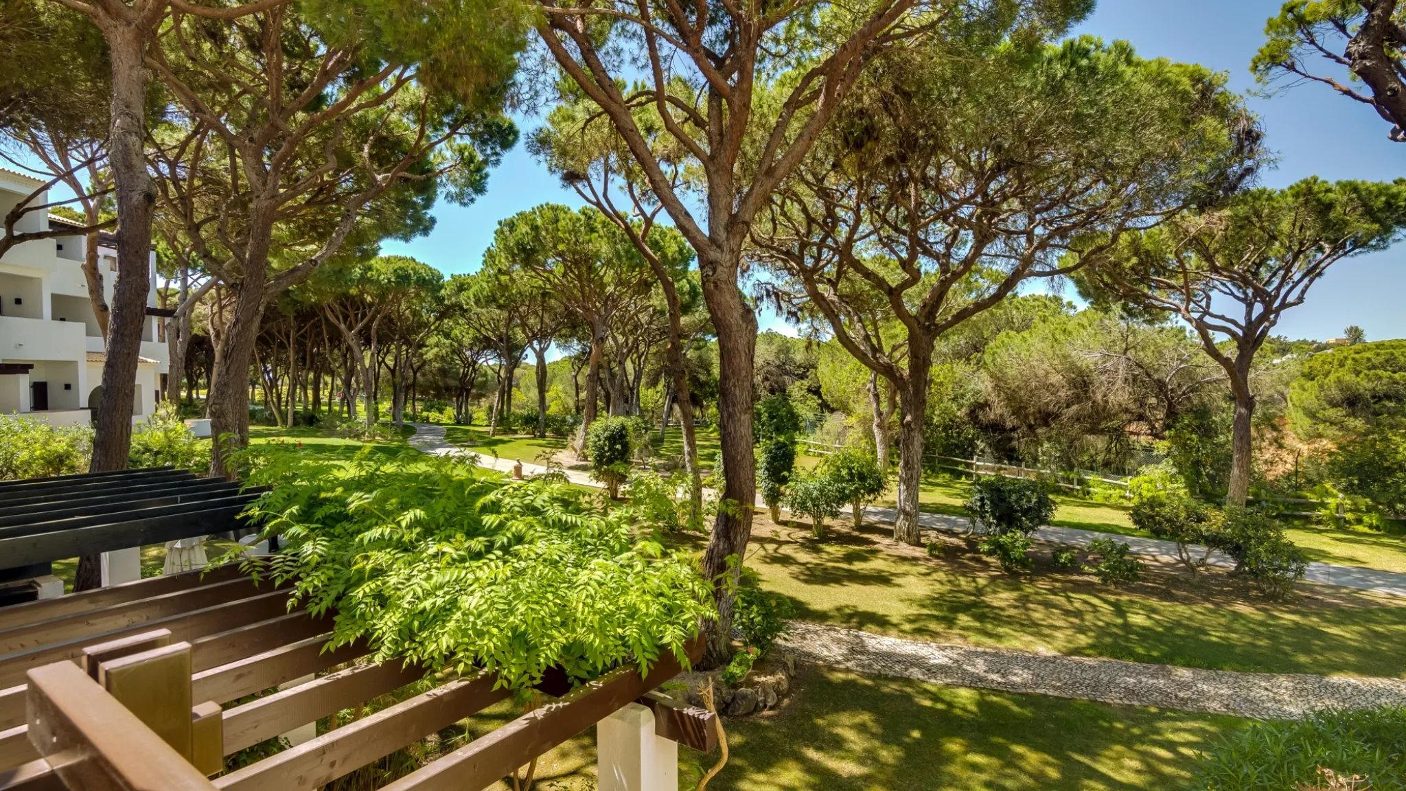 PCR Townhouse B36 2023 ivosantos00031