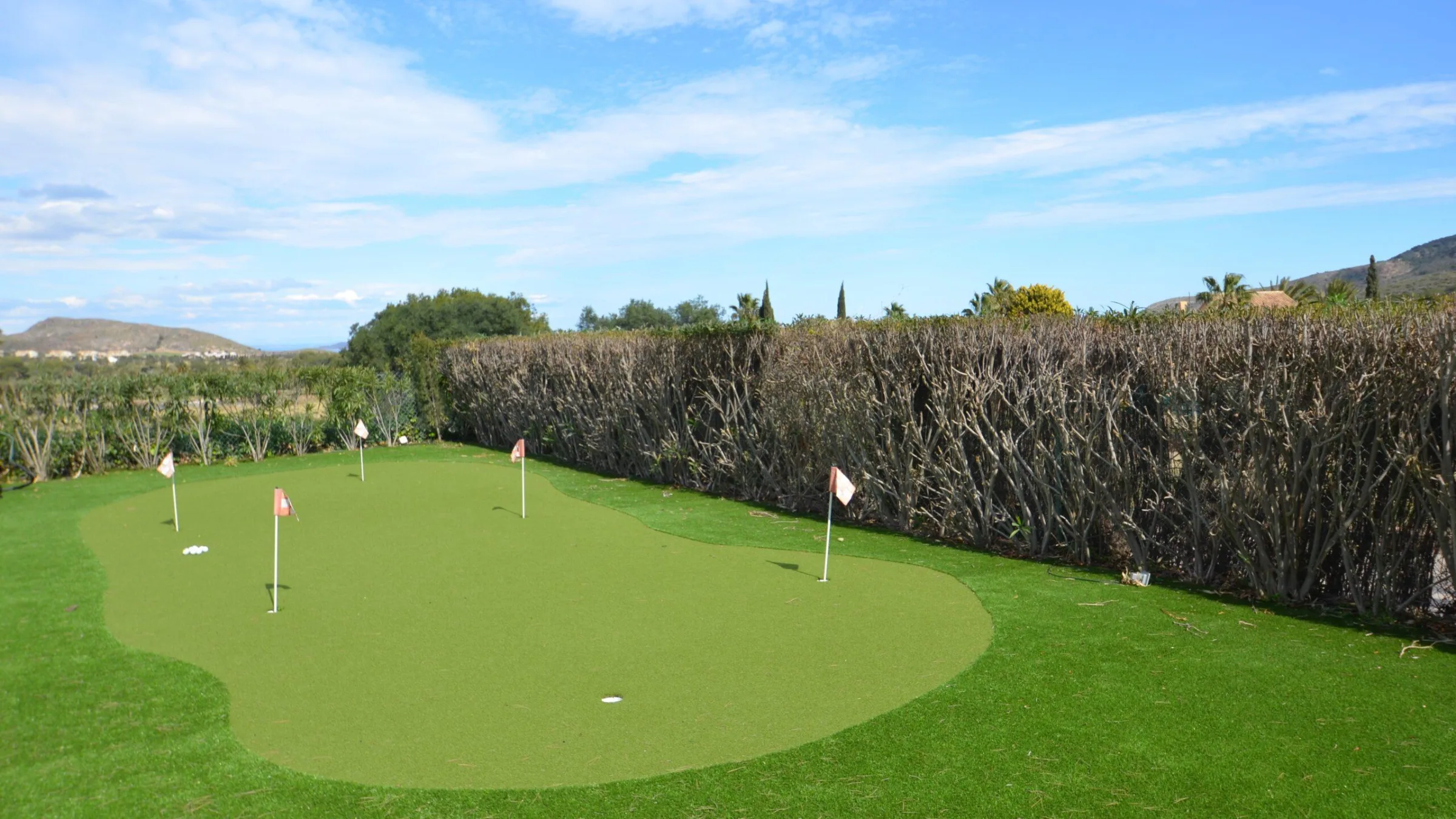 V171 Putting Green scaled